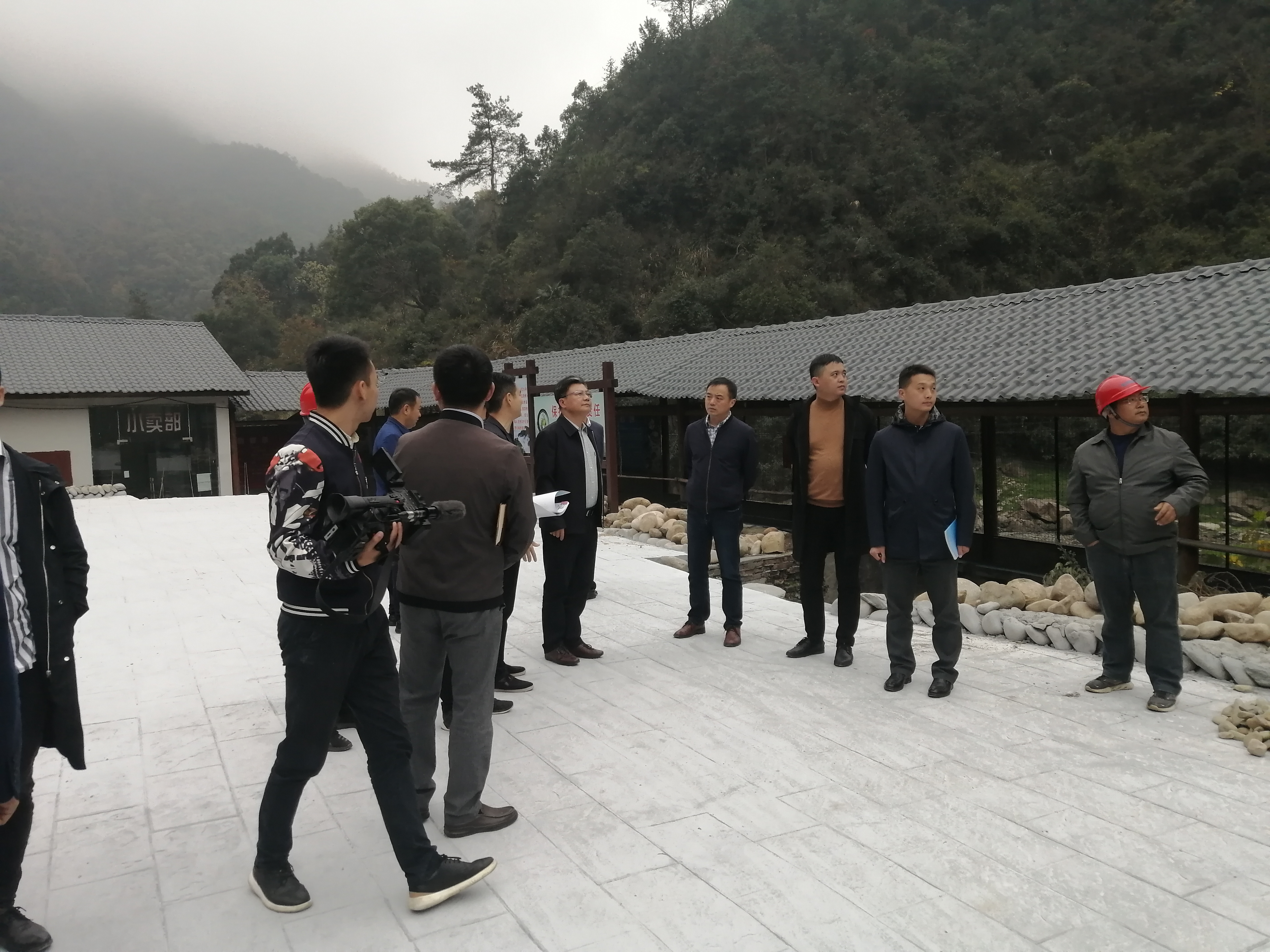 庐山市桃花源景区景观整体提升项目